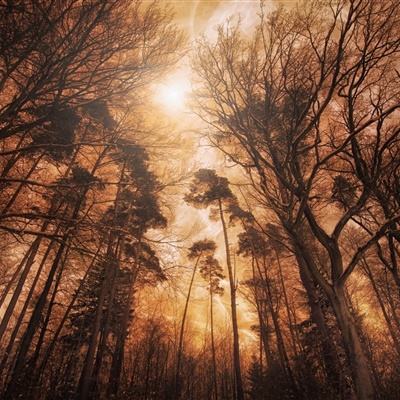 云顶集团手机app下载