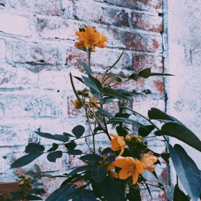 BOB体育综合app官网入口