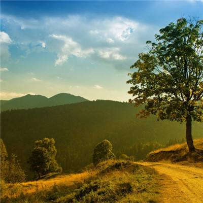 买大小单双彩票app